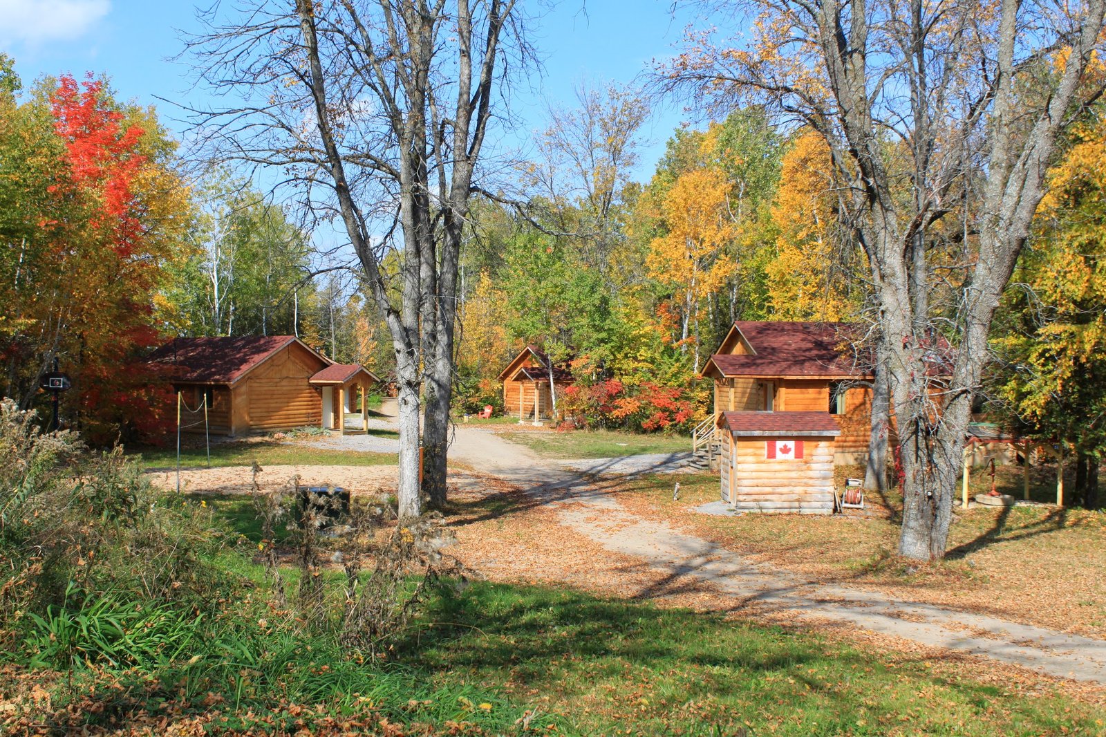 The finished resort in autumn — multiple log cabins along a wooded path, Canadian flag on one cabin.